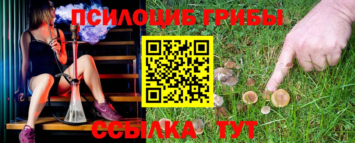 Майкоп  Псилоцибиновые грибы Cubensis  Галлюциногенные грибы мухоморы  Вход с VPN 