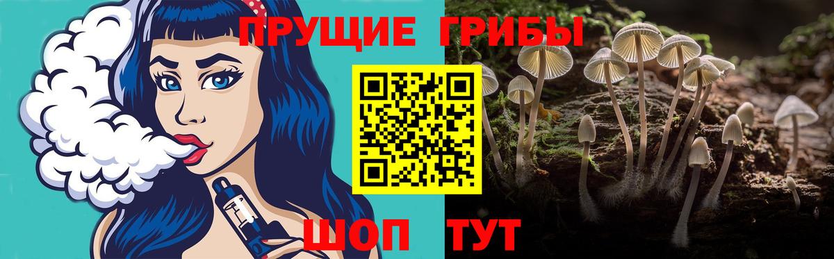 Галлюциногенные грибы Magic Shrooms Майкоп